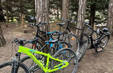 L Orée de la Pinède Hardelot Plage à 800 metres de la mer sous les pins - Foto 45