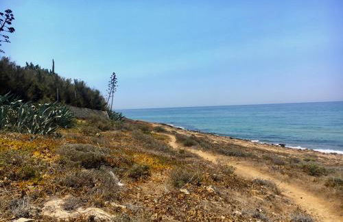 Covo dei Marinai - Foto 41