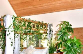 Sweet getaway in private Giant Sequoia Grove! - Foto 32