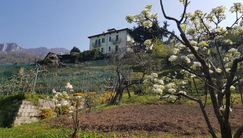 Il Palazzo apartment with a view of the lake and nature - Foto 2