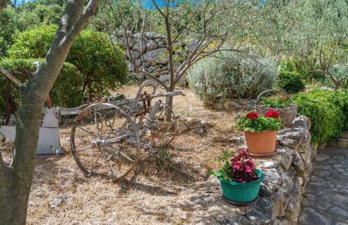 House Radojka - Foto 20