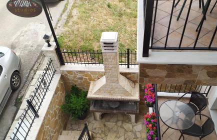 Chrysandra - Foto 18