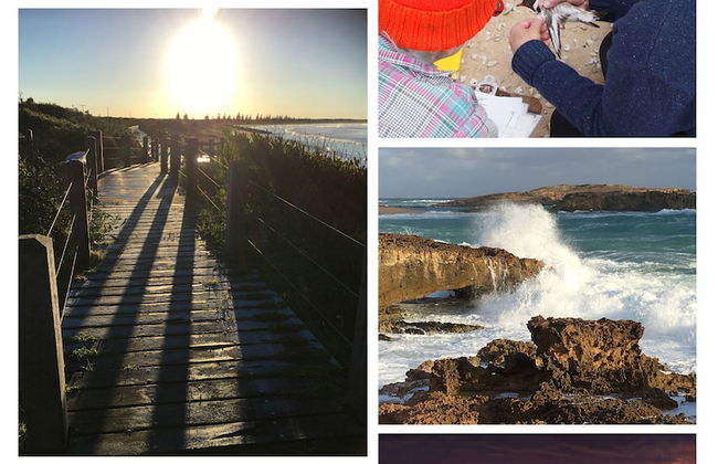 Bonnies of Beachport - Photo 49