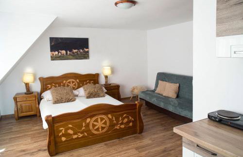 Miedzy Owcami Meeee - Foto 24