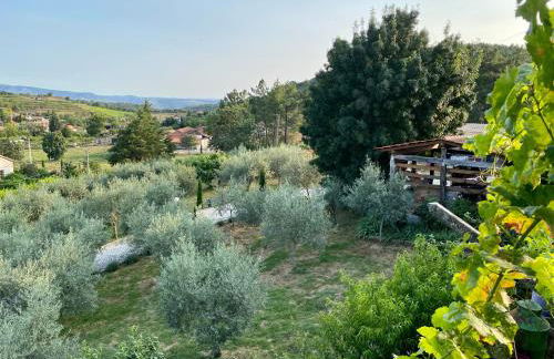 Quinta das flores - Foto 19