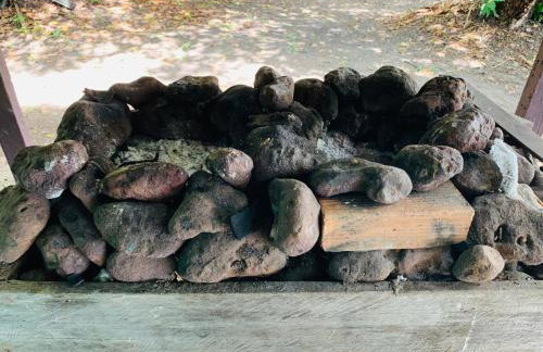 FM Algodoal - Foto 15