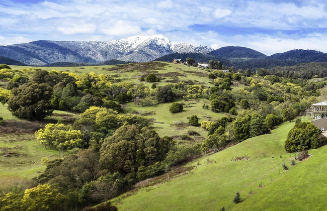 The Sebel Pinnacle Valley Resort - Foto 75