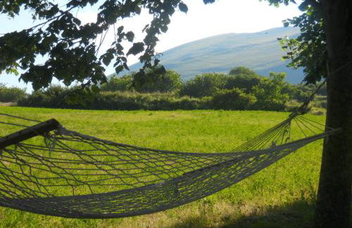 Agriturismo Le Castellare - Foto 78