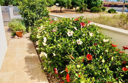 Villa Isla Bonita - Foto 39