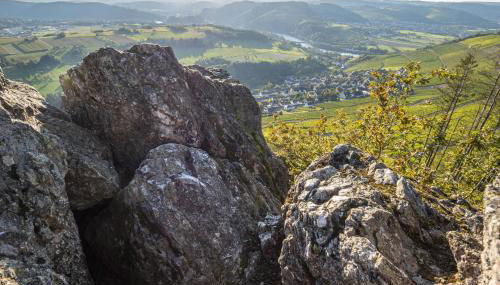 Ferienwohnungen Weitmann - Foto 4