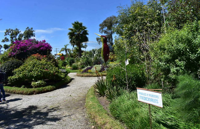 Atlixco & Chipilo Tour - Foto 5