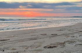 Villa Berenice - Foto 57