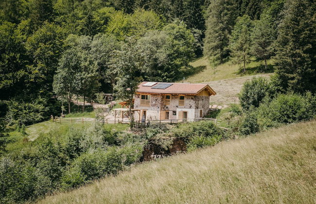 Maso nel bosco - Photo 59