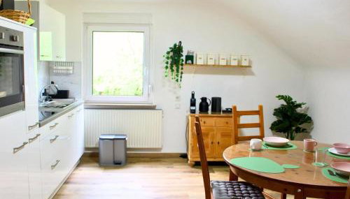 Ferienwohnung Schwarzhof- Hahnekräh am Bostalsee, helle 75 qm & hundefreundlich - Foto 4, stove