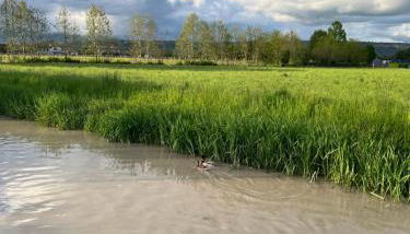 CASA ELSA Charming Apartment - Foto 4