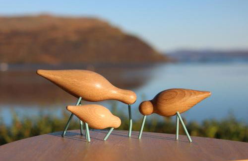 Air an Oir - Skye Self Catering - Foto 53