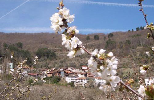 Casa Belen I y II - Foto 31