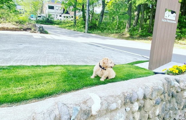 Hakuba Powder Mountain - Foto 74