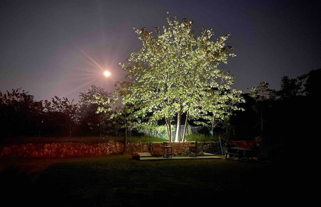 The Rock Star's Villa With Private Pool And Beach - Foto 37