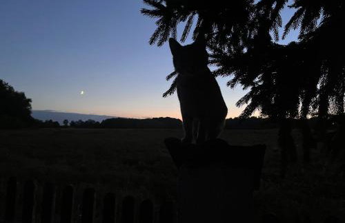 AgroStudio - Foto 19