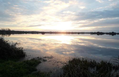 Gite familial à Carentan - Photo 46