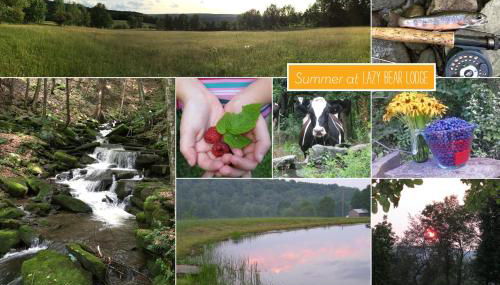 Private Dog-Friendly Home 3 Mi to Elk Mountain - Foto 3