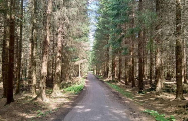 Forest Escape With Garden - Foto 37