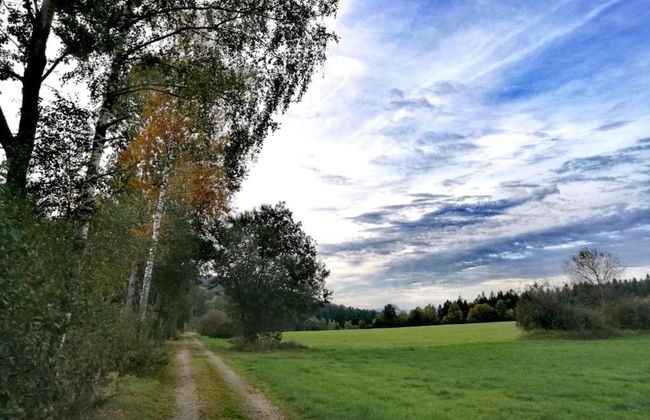 Cozy Apartment in Sonnen Bavaria near Forest - Foto 36