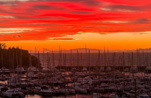 Marina di Scarlino Resort - Photo 49