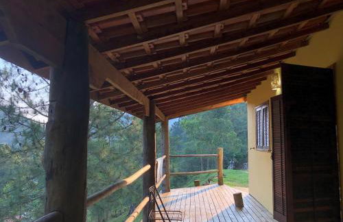 Chácara das Araucárias - Foto 44