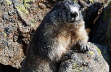 Gite de charme 3 étoiles - Foto 21