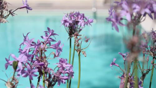 Appartamento da Ciuruzzo - Foto 2