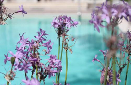 Appartamento da Ciuruzzo - Foto 2