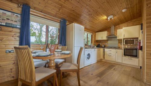 Buzzard Lodge with Hot-tub - Foto 3, stove, dishwasher, pet friendly