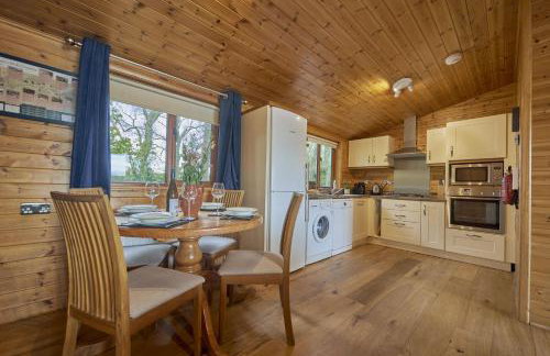 Buzzard Lodge with Hot-tub - Foto 3