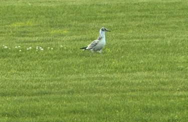 Das Blaue Haus - Foto 25