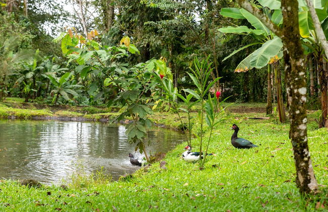 Villa el Bosque La Fortuna - Foto 39