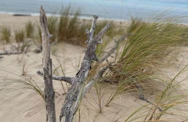 Maison 7 personnes Soulac Climatisée Fibre - Foto 35