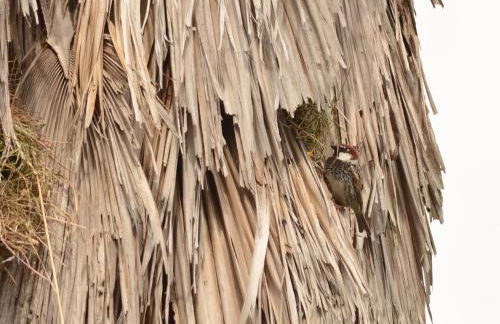 Quinta dos Trevos - Artes e Ofícios - Foto 59