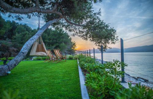 Olive Hill House - ground floor - Photo 6