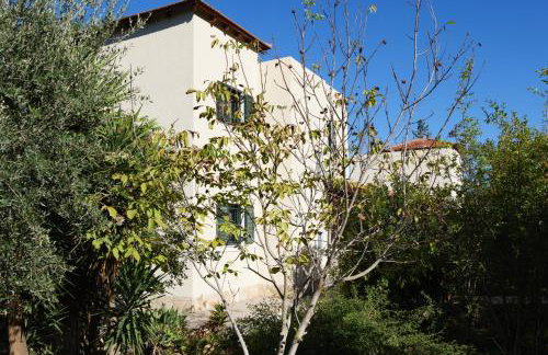 Theodoras Villas - Foto 38