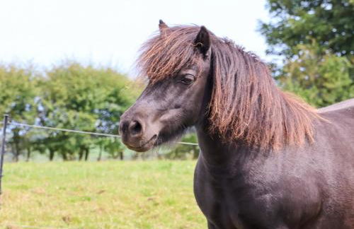 Hayloft Cottage - Foto 26