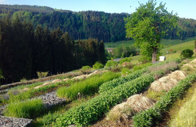 Kraeuterhof-Ferienwohnung - Photo 21