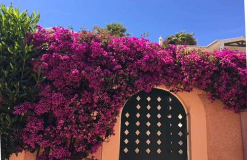 Vila Bela Nova Acácias 22 - Foto 48