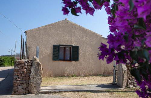 La Pavoncella Marina - Cozy home near Porto Taverna - Foto 23