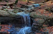 Il giardino di Anna - Appartamento 1 - Foto 24