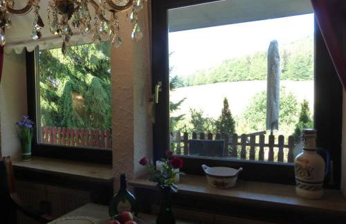 Ferienwohnungen Tannenhof - Foto 30