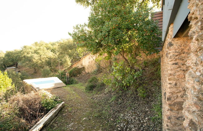 El Risco del Lomero - Foto 15