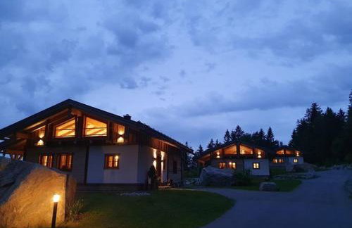 Dreisessel-Chalets im bayerischen Wald - Chalet Hochstein - mit Whirlpool-Sauna-Kamin - Foto 47