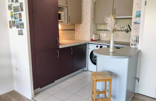 Le Salluste cosy T2 with balcony in Strasbourg - Foto 12